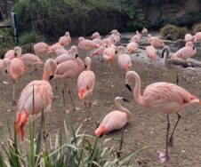 N+N 1- Santa Barbara_1