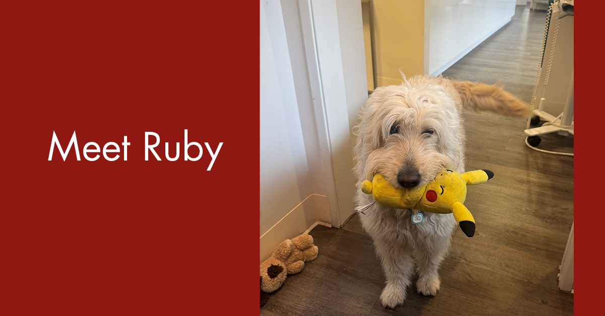 Meet Ruby